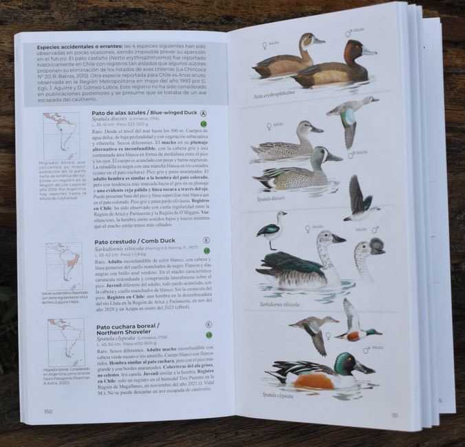 Aves de Chile: Guía de Campo. Segunda edición2