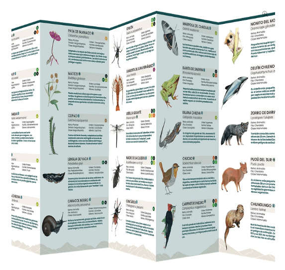 Guia Plagable Chile Nativo: La Naturaleza de su evolución - El viaje.2