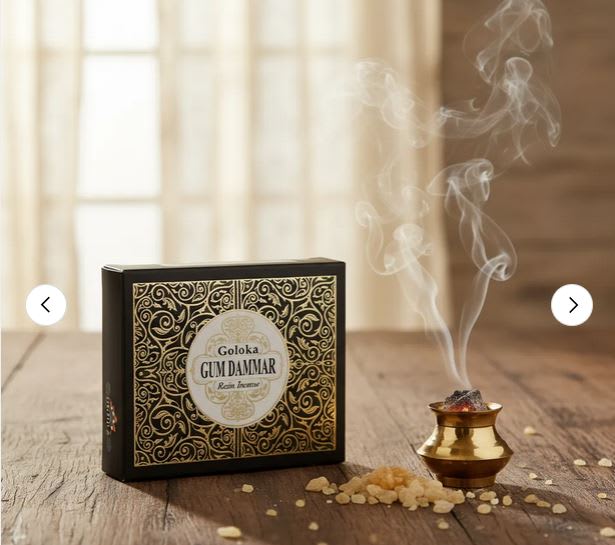 Resina Gum Dammar - Goloka2