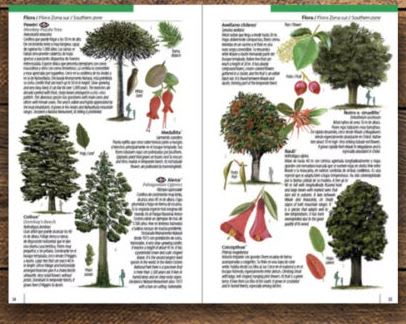 Chile: Una Guía Rápida  Verdugo Tartakowsky Rodrigo (Autor)2