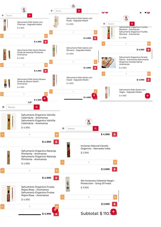 Pack Oferta Hornopirén2