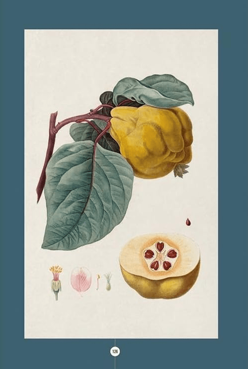El Jardín del Boticario - Emma Wayland2