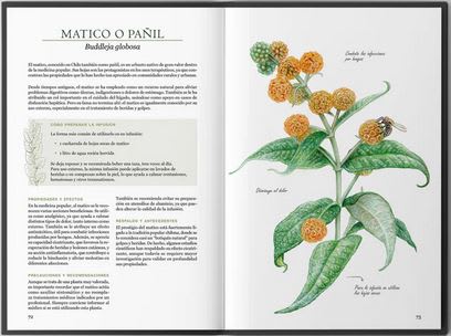 Plantas medicinales nativas de Chile2