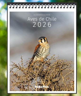 Calendario Mural Aves de Chile 20261
