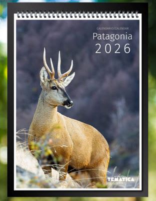 Calendario Mural Patagonia Chile 20261
