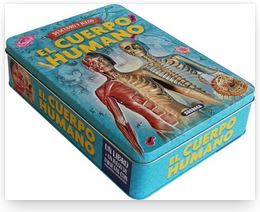 El Cuerpo Humano - Descubro y Juego1