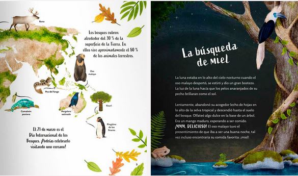 Secretos del Bosque  Klepeis Alicia (Autor) · Editorial Contrapunto Ltda. · Tapa Dura3