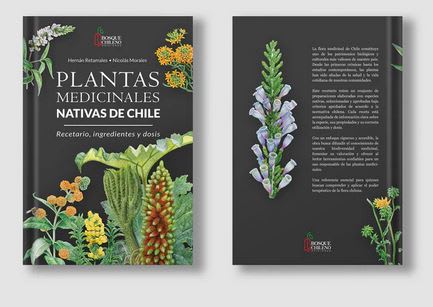 Plantas medicinales nativas de Chile6