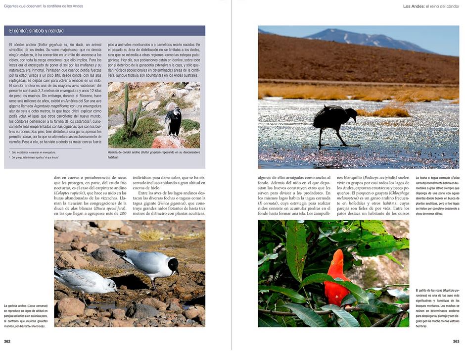 De Amazonia a Patagonia. Ecología de las regiones naturales de America de Sur5