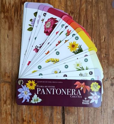 Pantonera Flora Silvestre: Chile Sur1