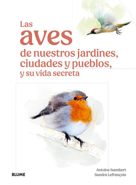 Las Aves de Nuestros Jardines, ciudades y pueblos1