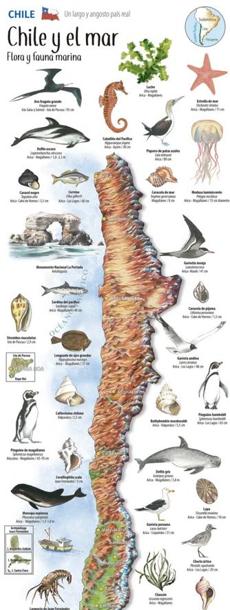 Mapa Chile y el mar2
