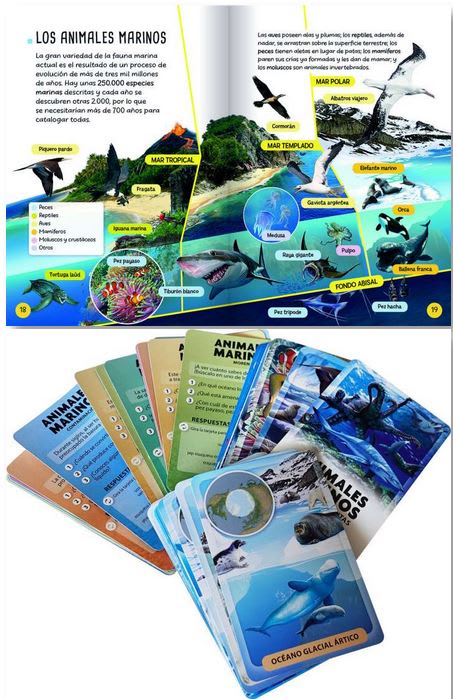 Animales Marinos - Descubro y Juego2