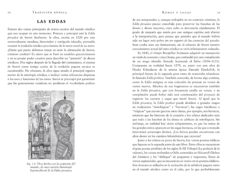Runas nórdicas: Interpretación del antiguo oráculo vikingo4
