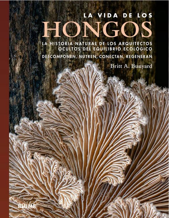 La Vida De Los Hongos1