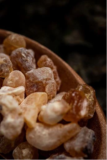 Sahumerio Natural Doble Romero y Olíbano4