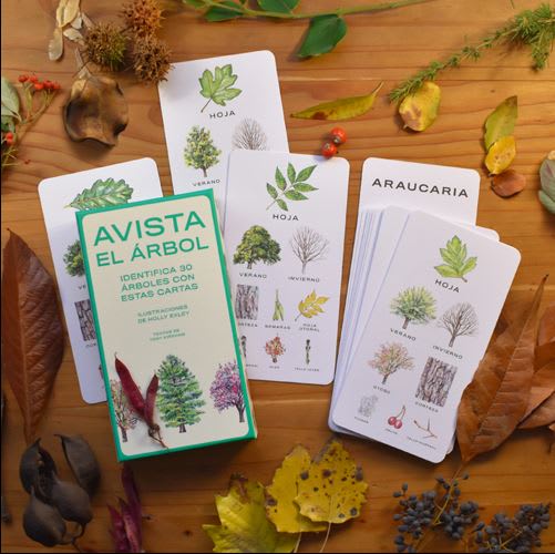 Avista el árbol - Holly Exley Tony Kirkham (Autor)2