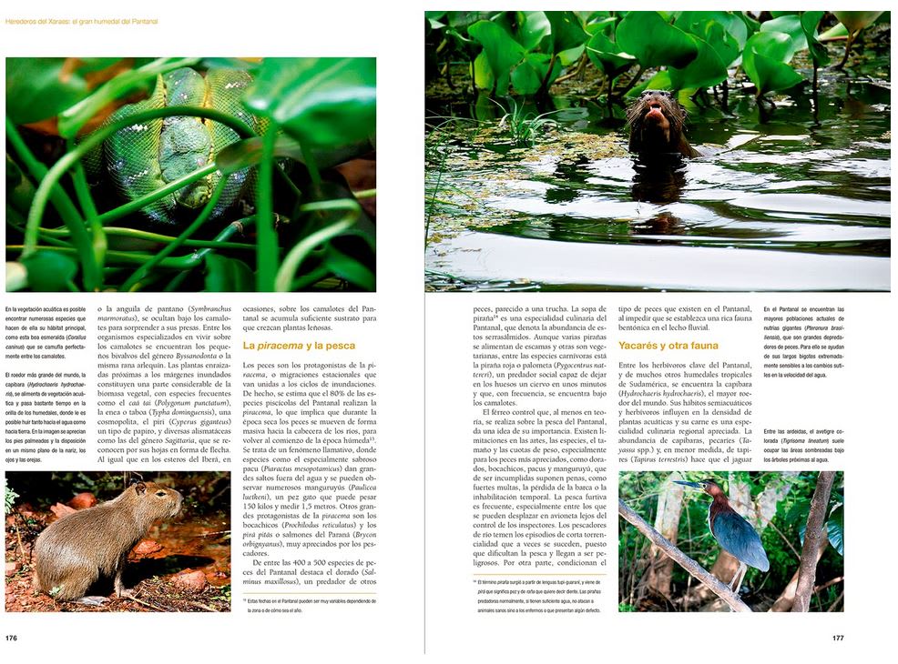 De Amazonia a Patagonia. Ecología de las regiones naturales de America de Sur3