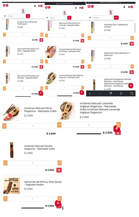 Pack Oferta Hornopirén1