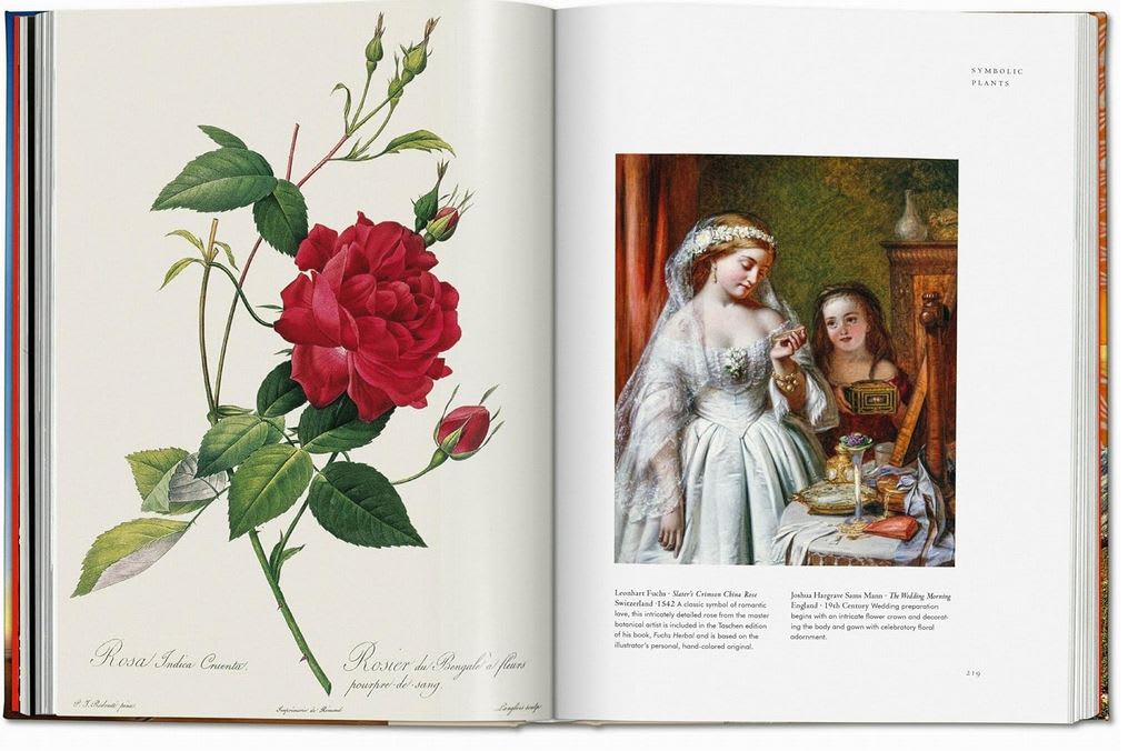 La magia de las plantas. La Biblioteca de Esoterismo3
