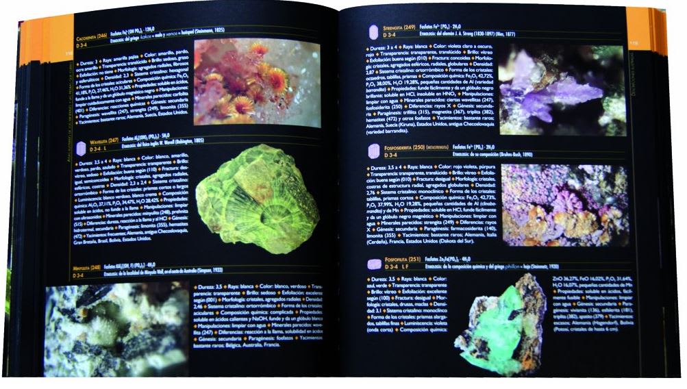 Atlas Ilustrado de Los Minerales y las piedras que curan - Tapa dura3