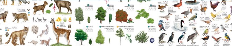 Guía Plegable Carretera Autral de Chile3