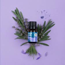 Aceite Esencial de Lavanda - Sagrada Madre2