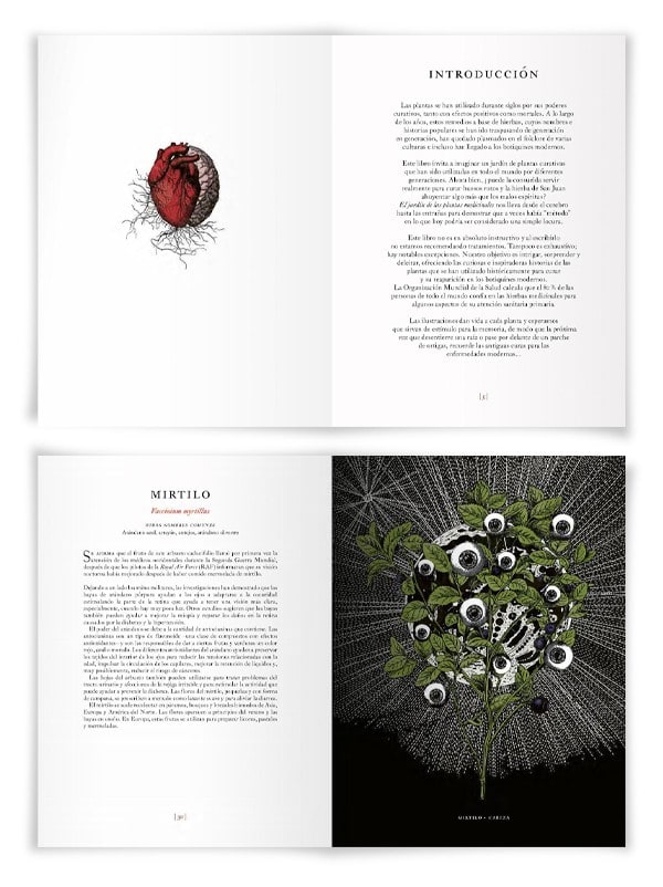 El Jardín de las Plantas Medicinales - Alice Smith (Autor)1