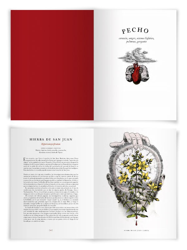 El Jardín de las Plantas Medicinales - Alice Smith (Autor)2