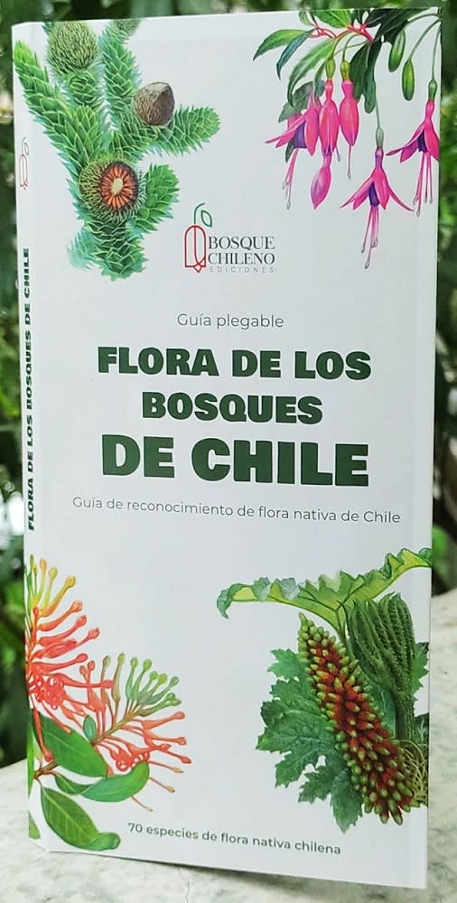 Guia Plegable Flora De Los Bosques Chilenos1