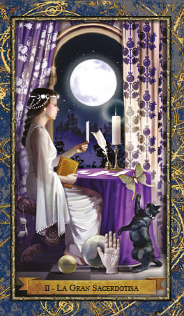 El Tarot de los Magos. Libro + 78 cartas a todo color4