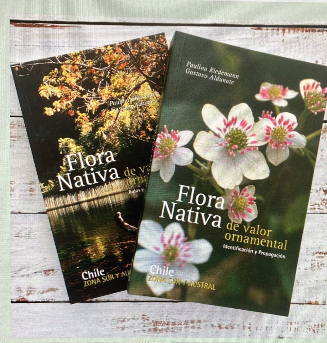 Flora Nativa de Valor Ornamental Zona Sur y Austral1