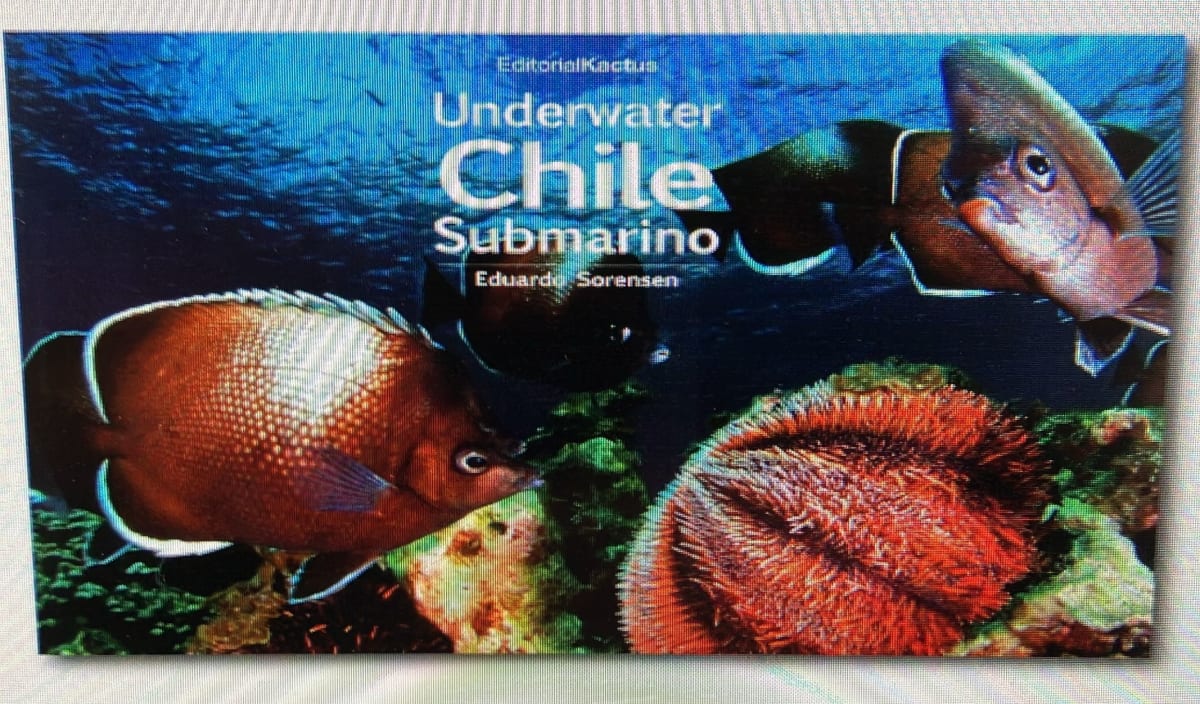 Chile Submarino - Underwater - Eduardo Sorensen1