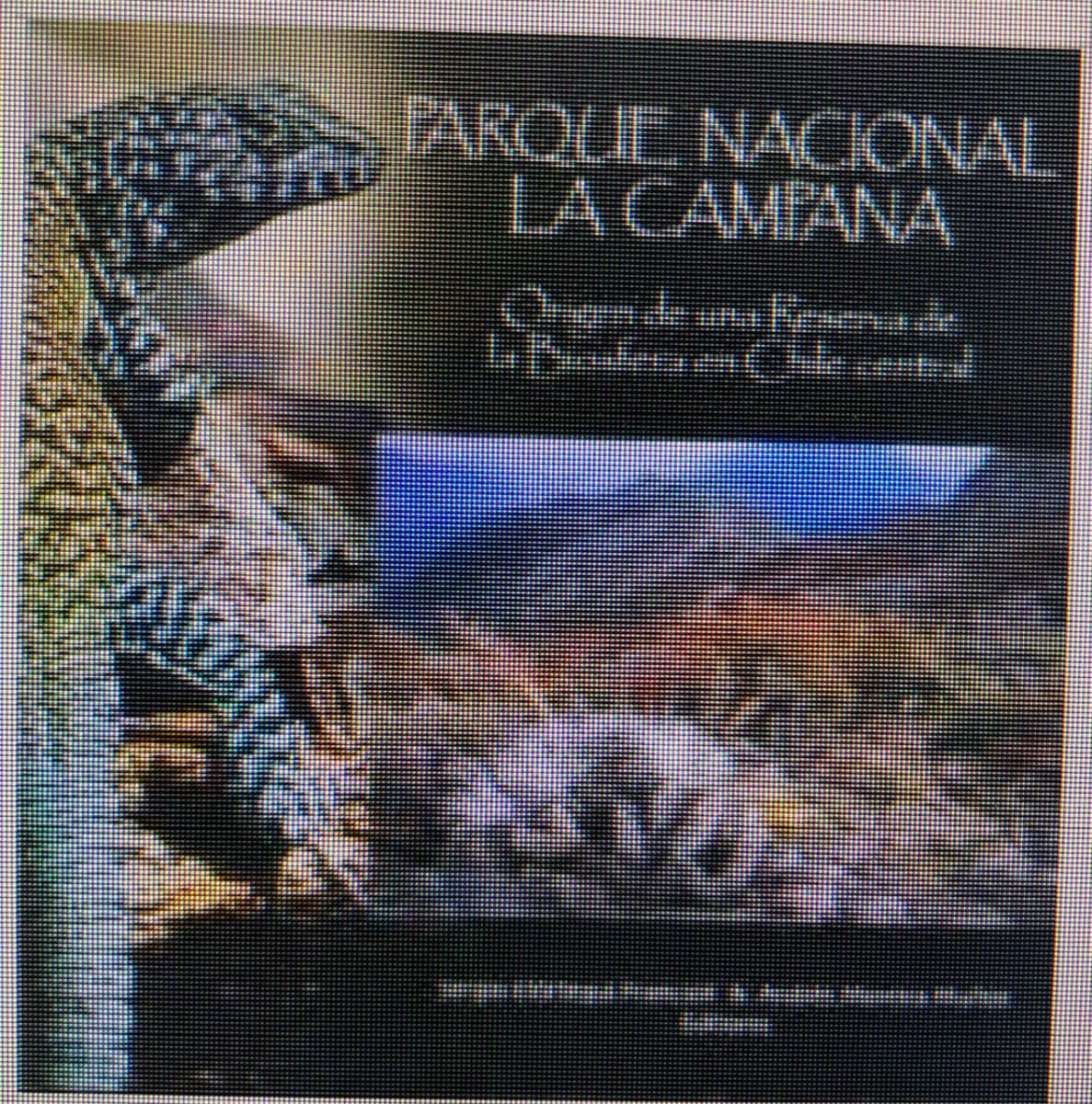 Parque Nacional La Campana, Origen de una Reserva de la Biosfera en Chile central1