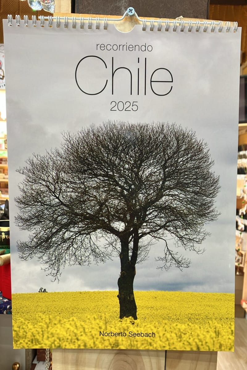 Calendario Mural Recorriendo Chile 20253