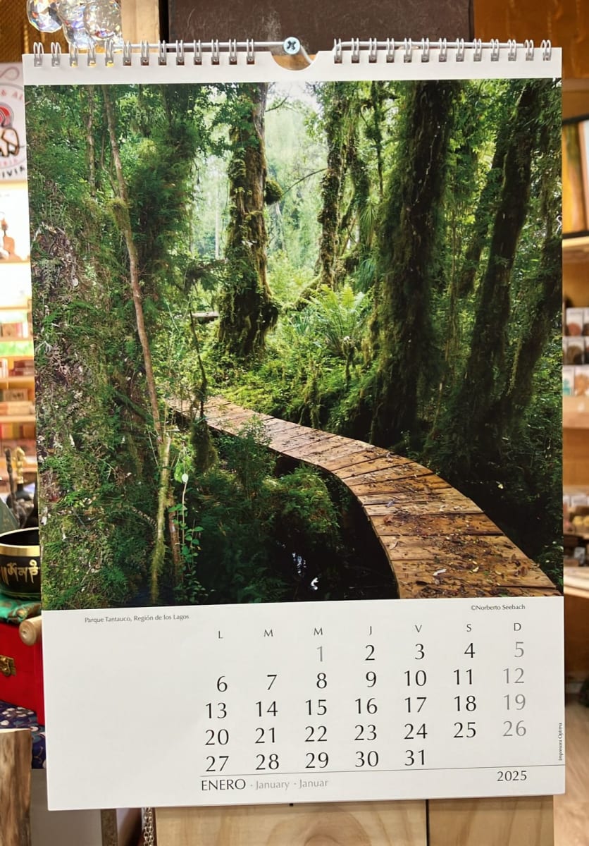 Calendario Mural Recorriendo Chile 20252