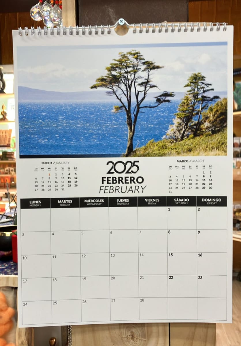 CALENDARIO PARED PATAGONIA 20253