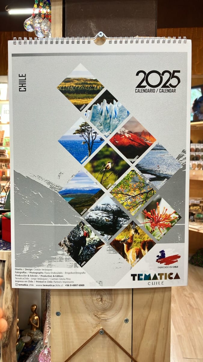 CALENDARIO PARED PATAGONIA 20252