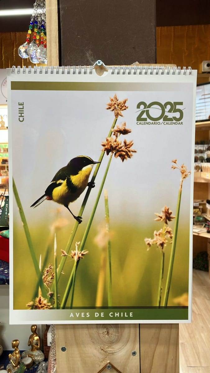 CALENDARIO MURAL 2025 AVES DE CHILE3