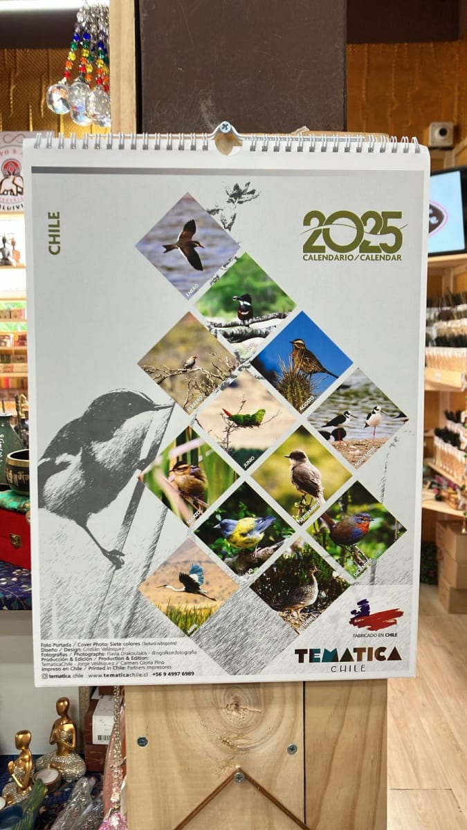 CALENDARIO MURAL 2025 AVES DE CHILE2