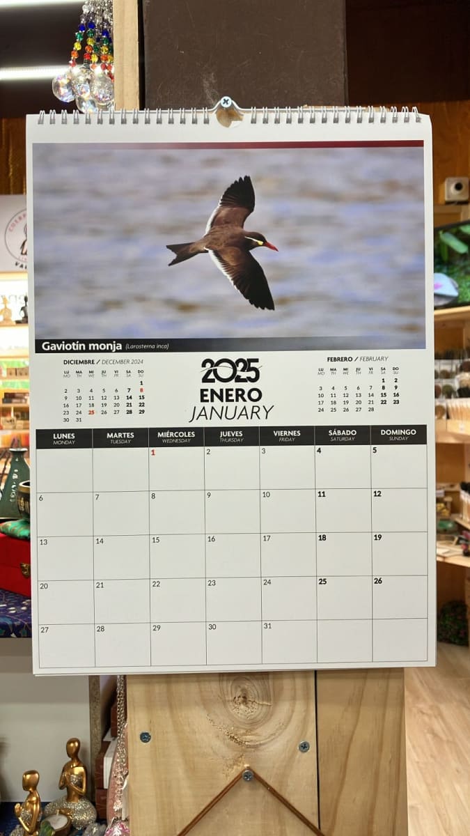 CALENDARIO MURAL 2025 AVES DE CHILE1