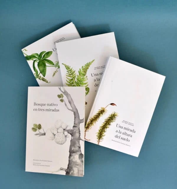 Bosque Nativo En Tres Miradas (Pack de 4 Libros)2