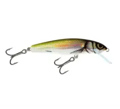 RAPALA SALMO SI MINNOW 9 HBL