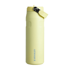 TERMO STANLEY BOTELLA 24OZ