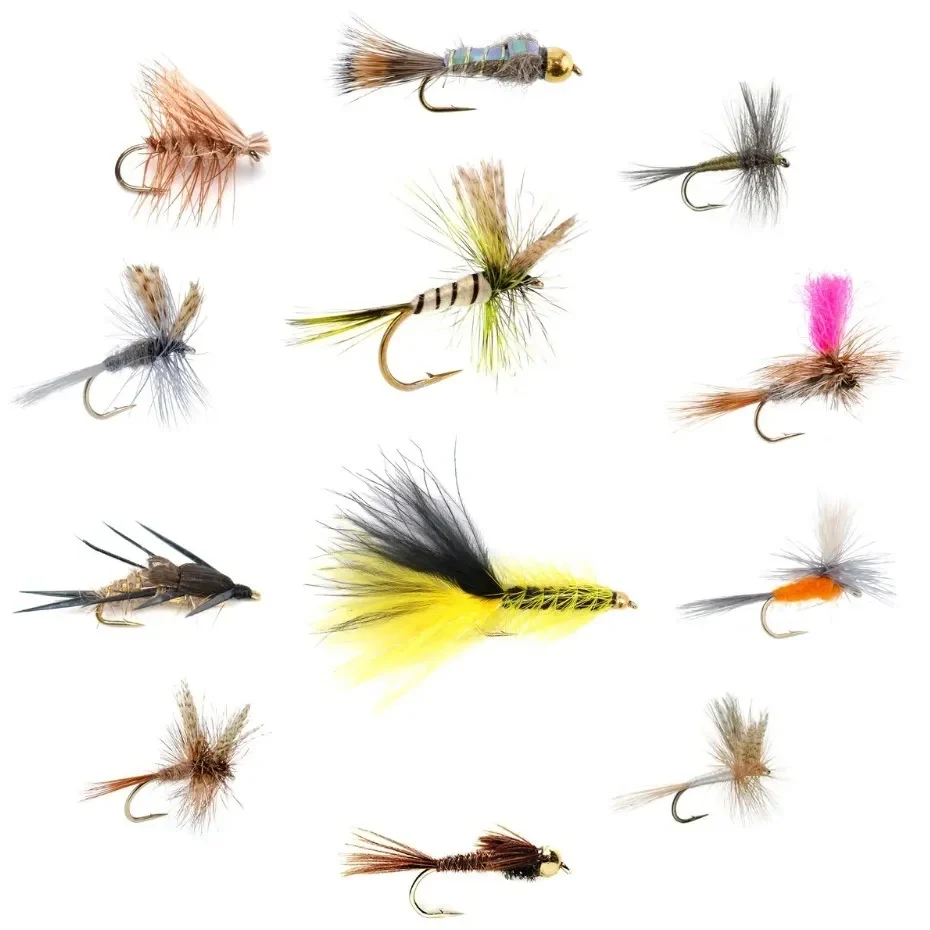 MOSCAS 45001