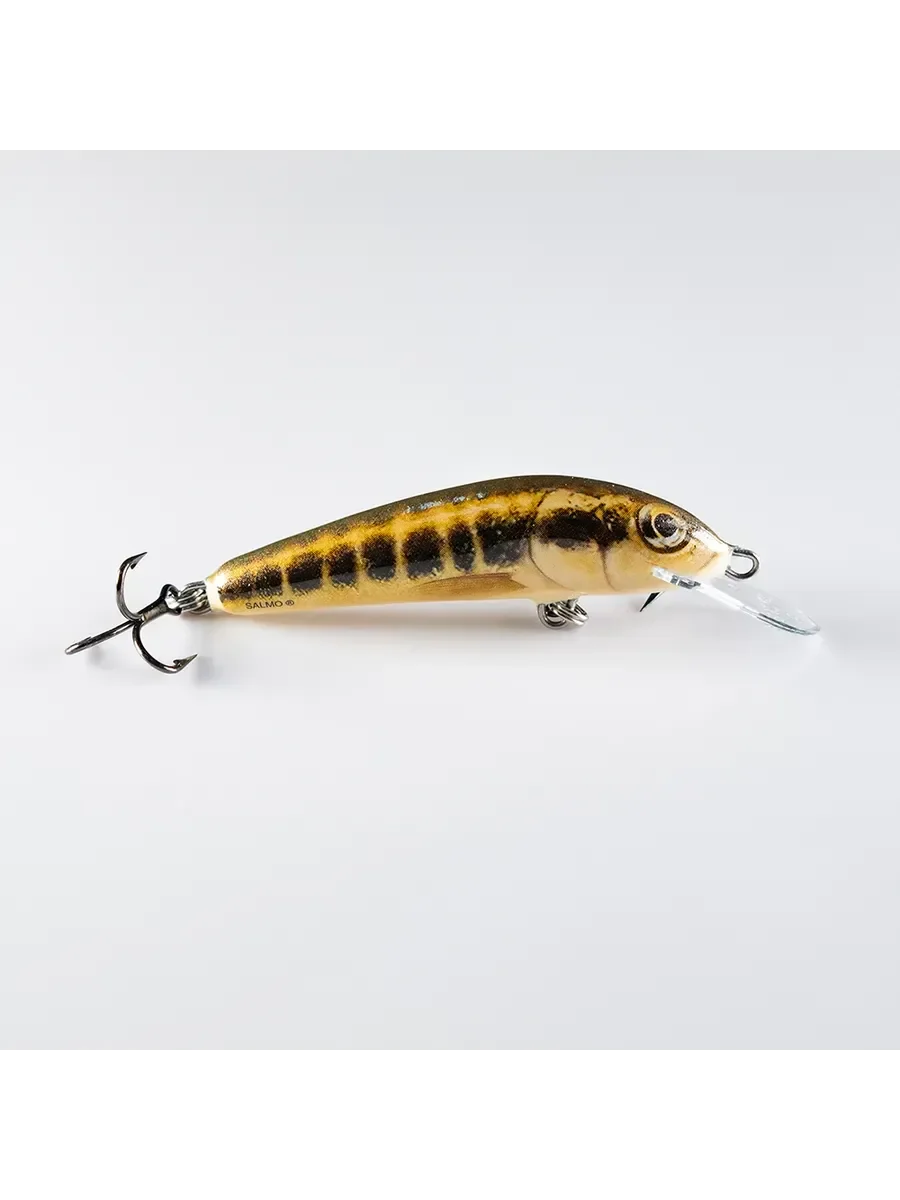RAPALA SALMO MINNOW 5 FLOTING LCR1