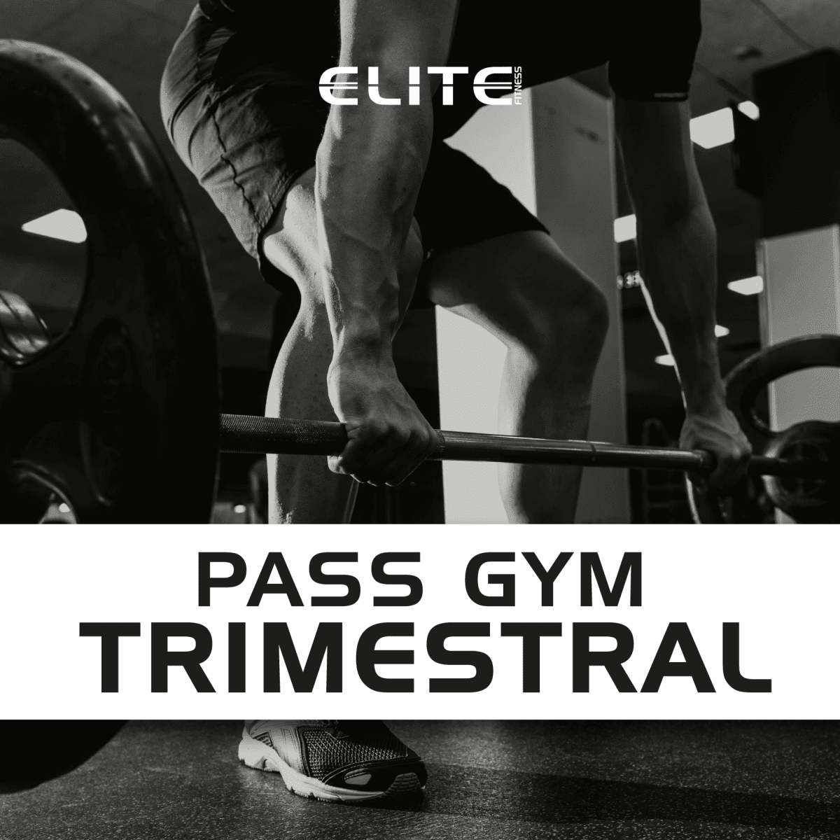 PASS GYM TRIMESTRAL1