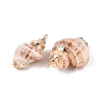 Dije colgante maxi caracol atlántico concha mar / unidad