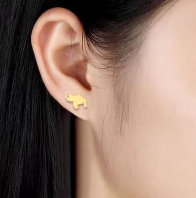 Aros topo topito mapa de venezuela 10 mm acero / par