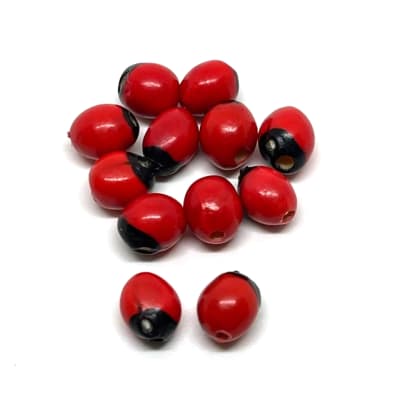 Semilla huayruru peonía protección 5 mm / 20 uds